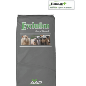 Evolution Sheep Mineral Plus