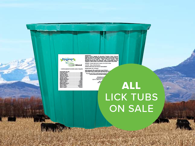 Cattle Lick Tubs Promo Image