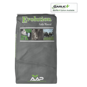 Evolution Cattle Repro Plus Mineral