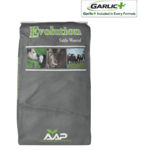 Evolution Dairy Heifer Garlic+ Mineral