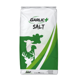 Garlic+ Salt
